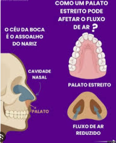 Rascunho automático